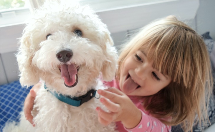 Niña con un caniche