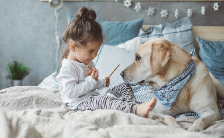 Razas de perros ideales para convivir con niños