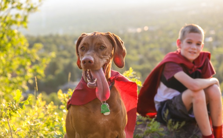 Vizla con un niño