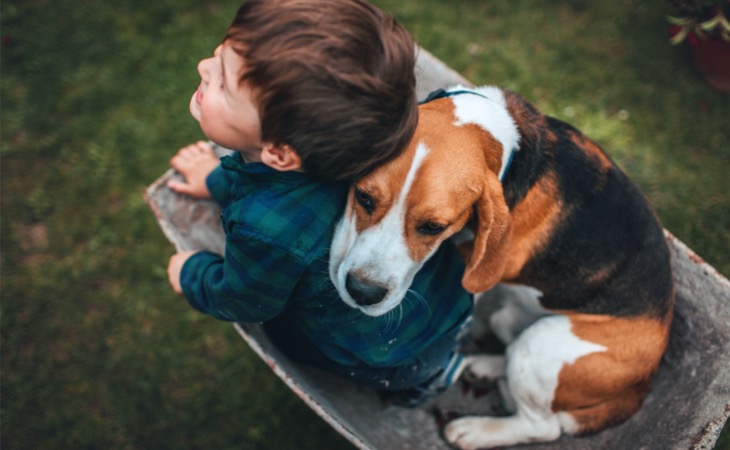 Beagle con un niño