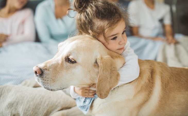 Labrador retriever con una niña