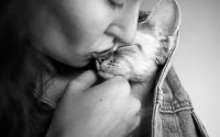 14 razas de gatos hipoalergénicos para evitar las alergias