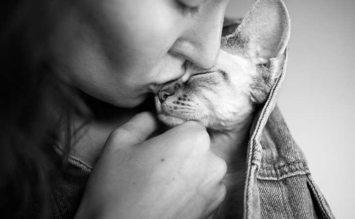 14 razas de gatos hipoalergénicos para evitar las alergias