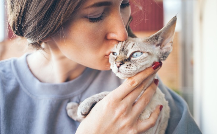 El devon rex es una de las razas de gatos hipoalergénicos.