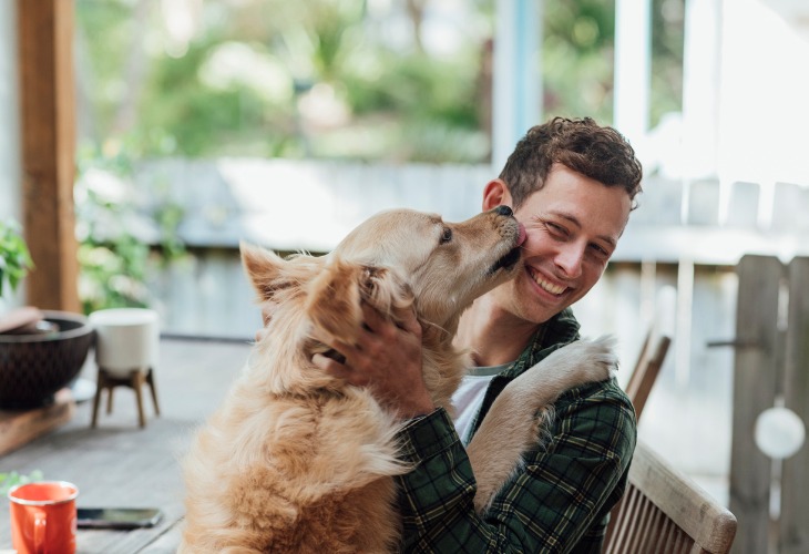 Un perro táctil es un perro que pide afecto.