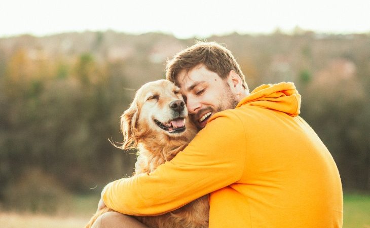 ¿Cómo acariciar a un perro?