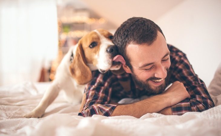 perro con su dueño