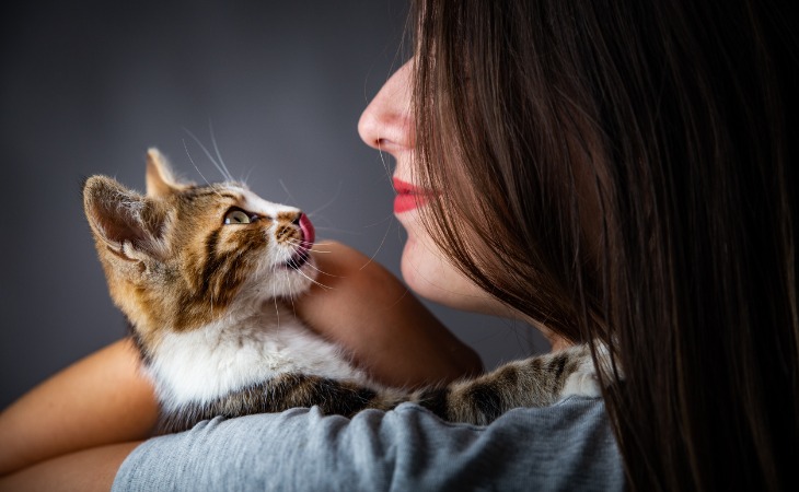 gato lame a su dueña